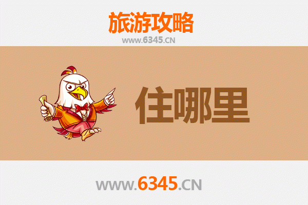 新乡卫滨区旅游民宿全攻略：沉浸式体验古韵与现代交融